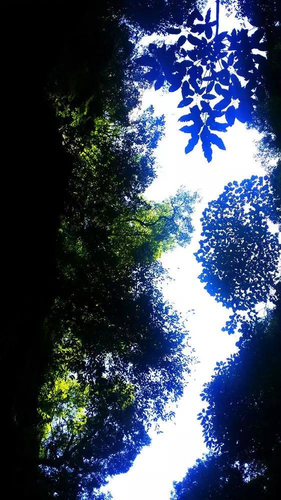 锦志卓越 璀璨风华 | 宝山技校2023年学生竞赛光荣榜